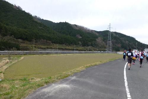 P1000082.jpg