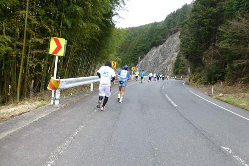 P1000088.jpg