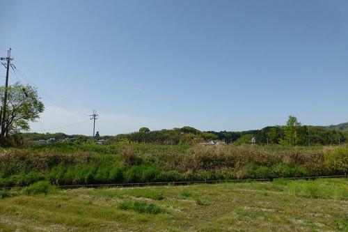 P1000132.jpg