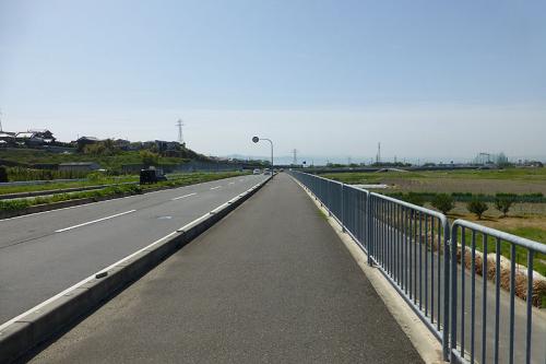 P1000136.jpg