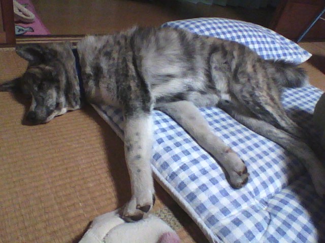 2013-12-02-220205.jpg