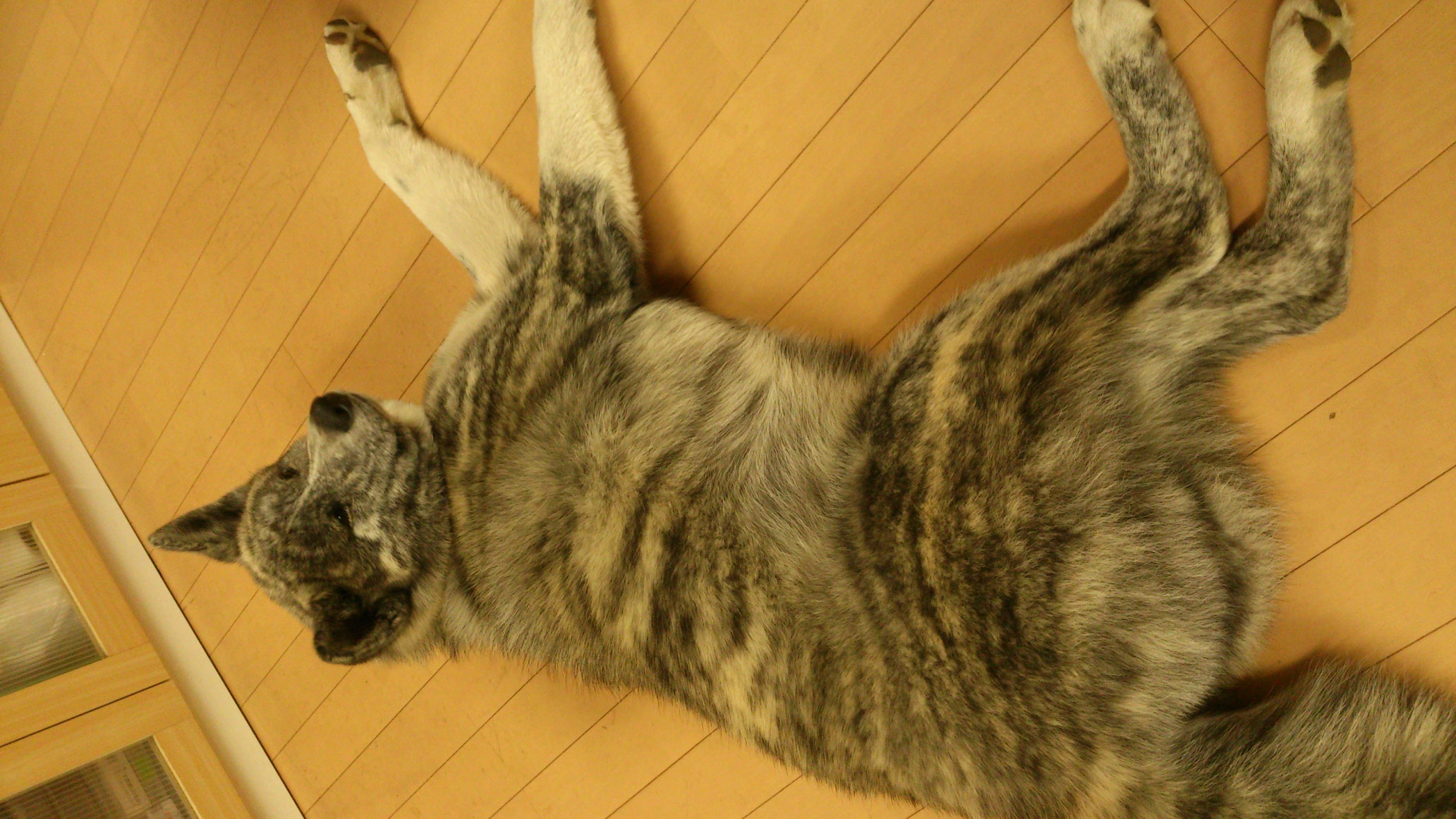 DSC_0022.jpg