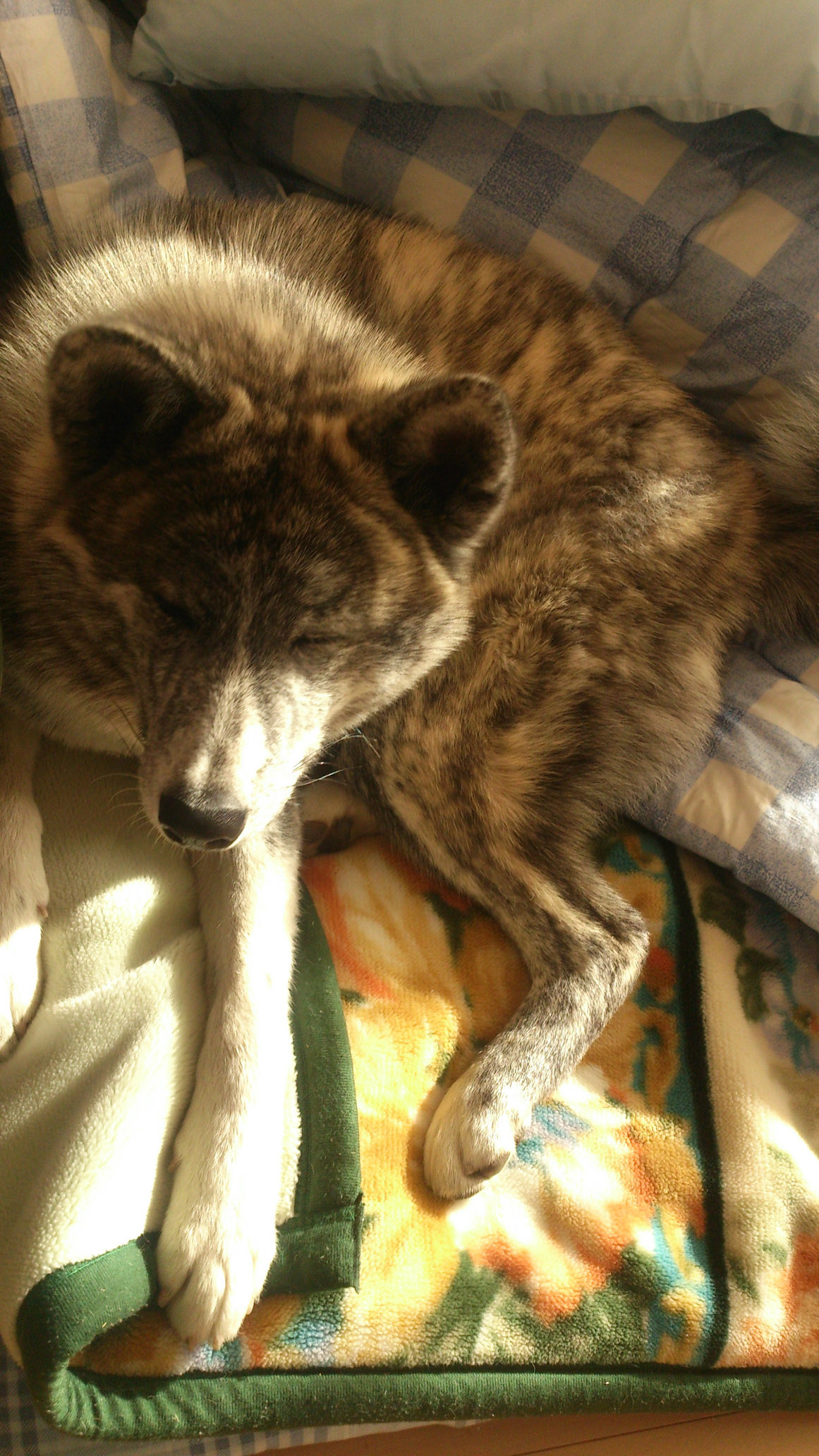 DSC_0031.jpg