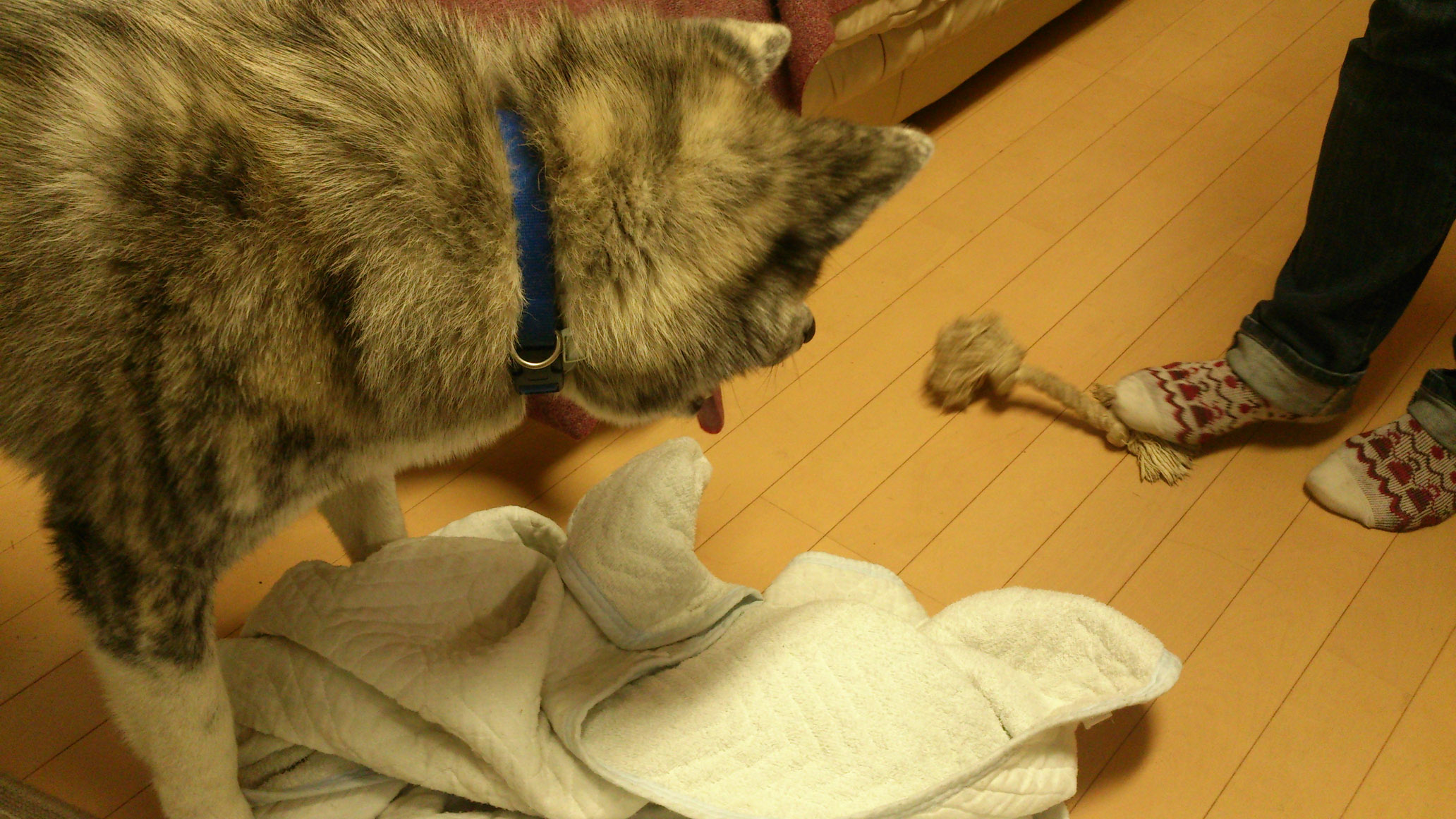 DSC_0036.jpg