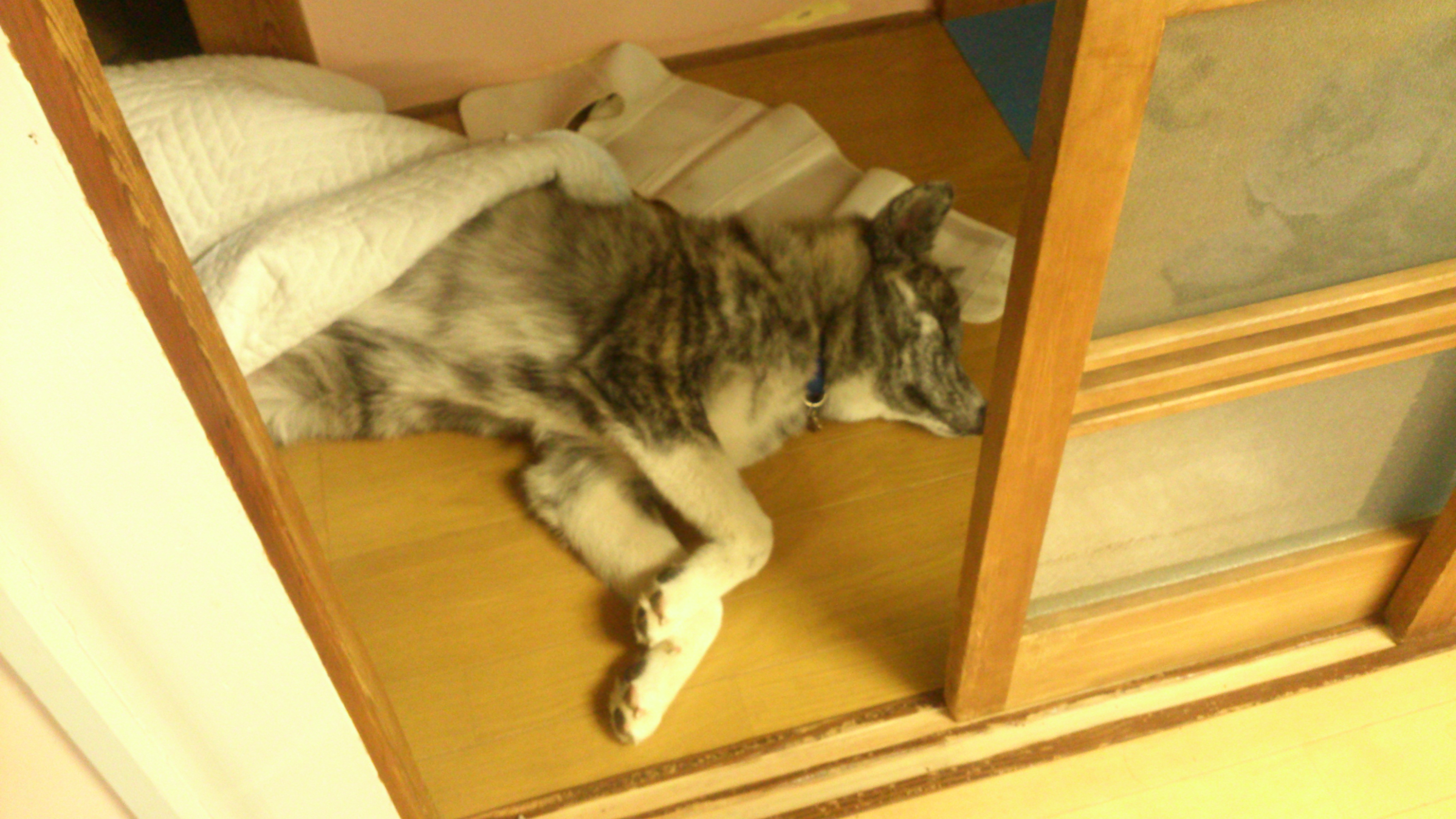 DSC_2159.jpg