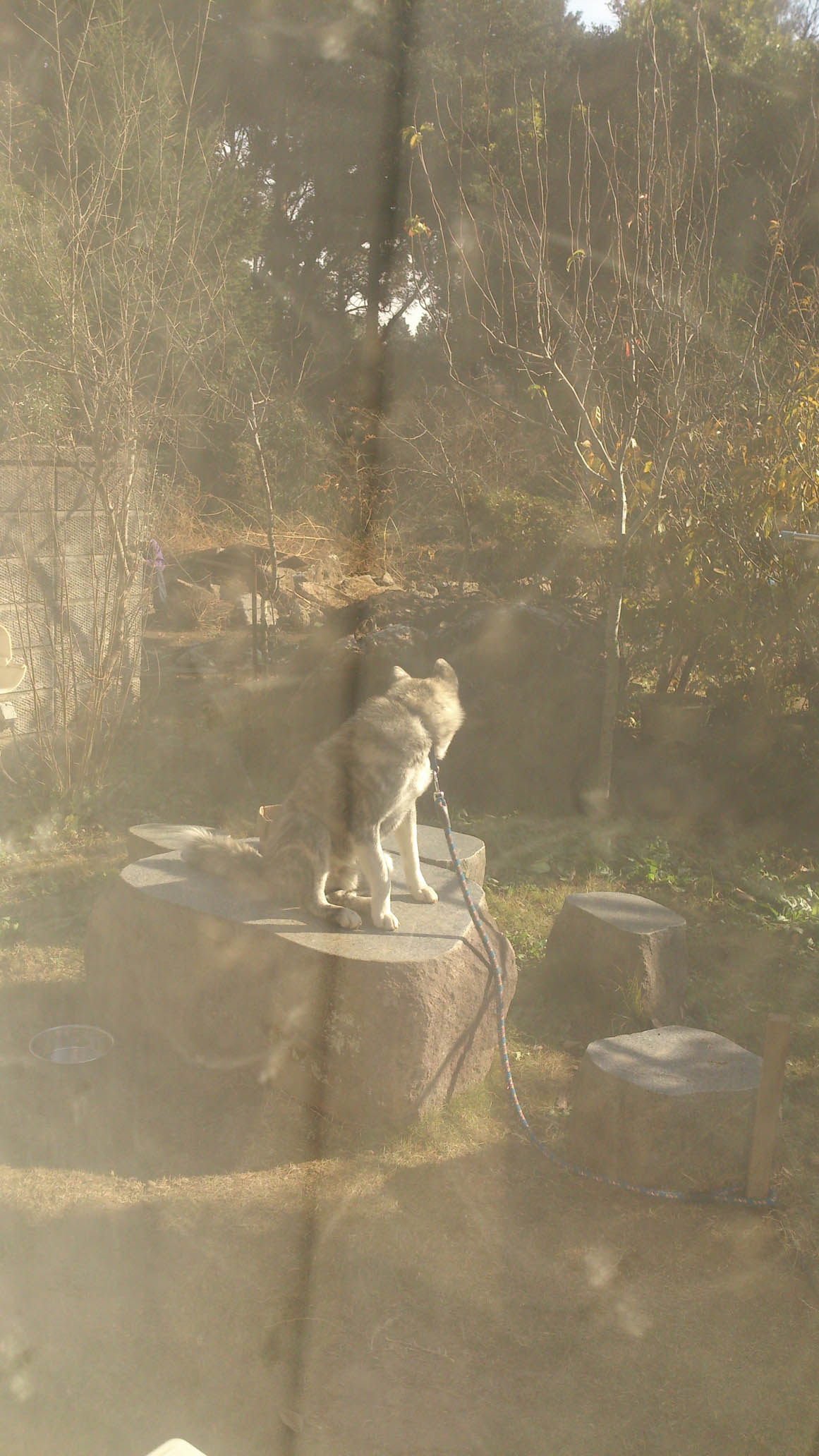 DSC_2188.jpg