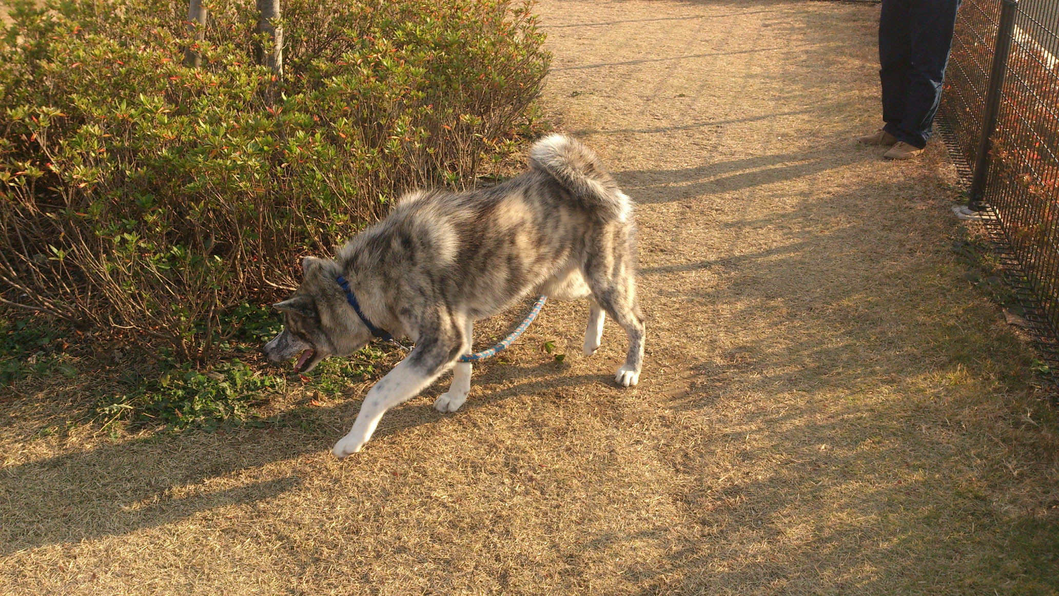 DSC_2211.jpg