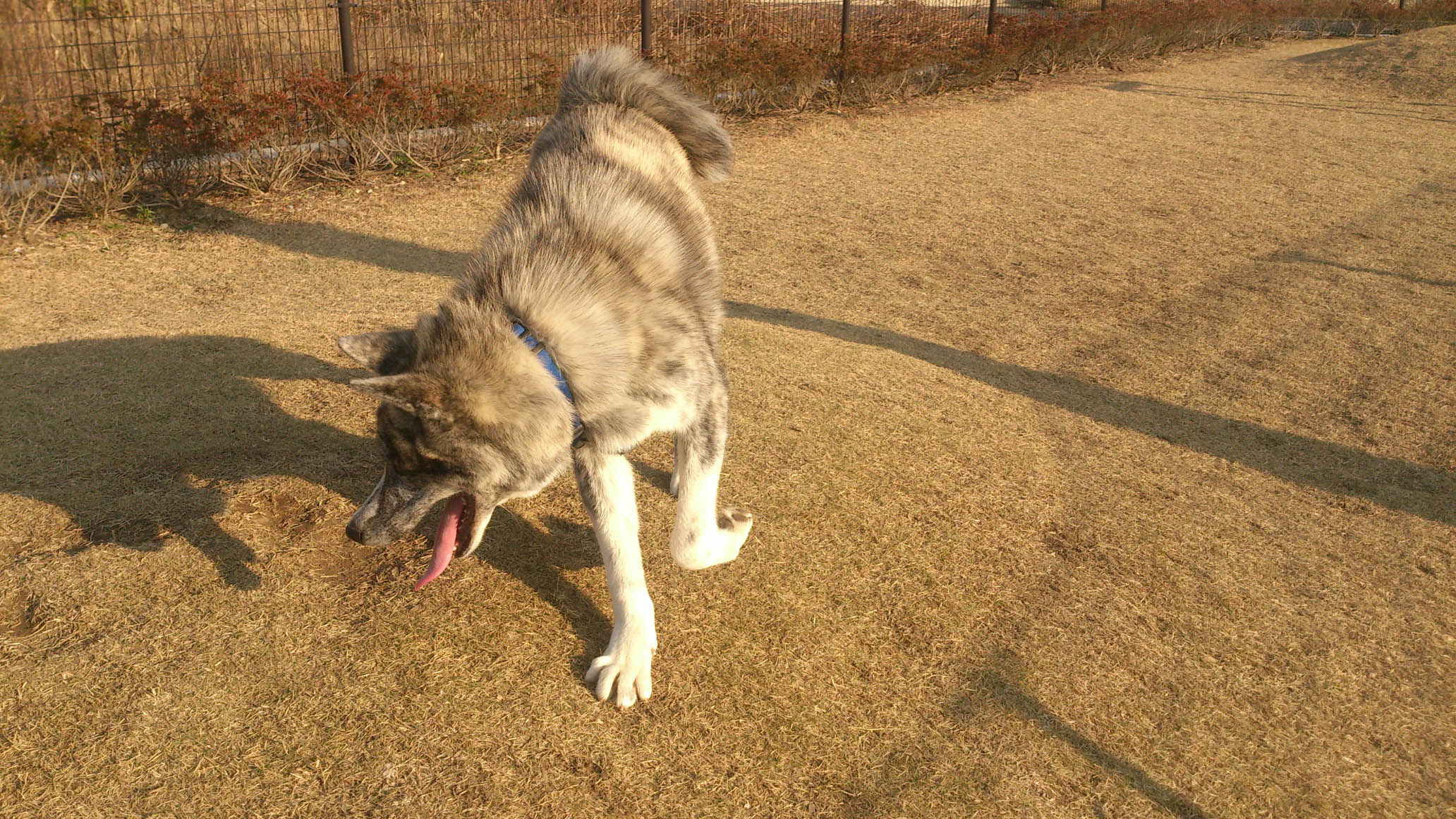 DSC_2215.jpg
