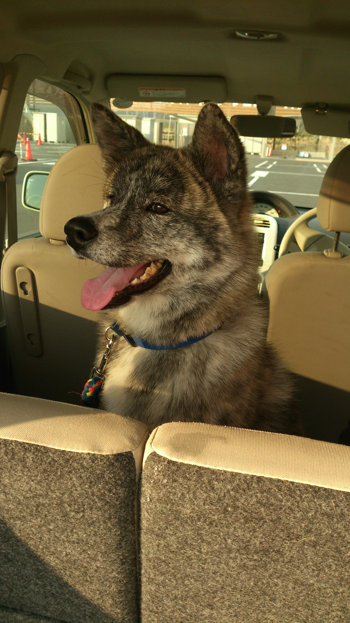 DSC_2242.jpg