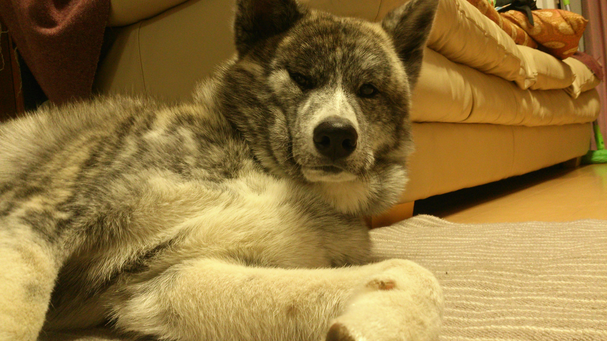 DSC_2271.jpg