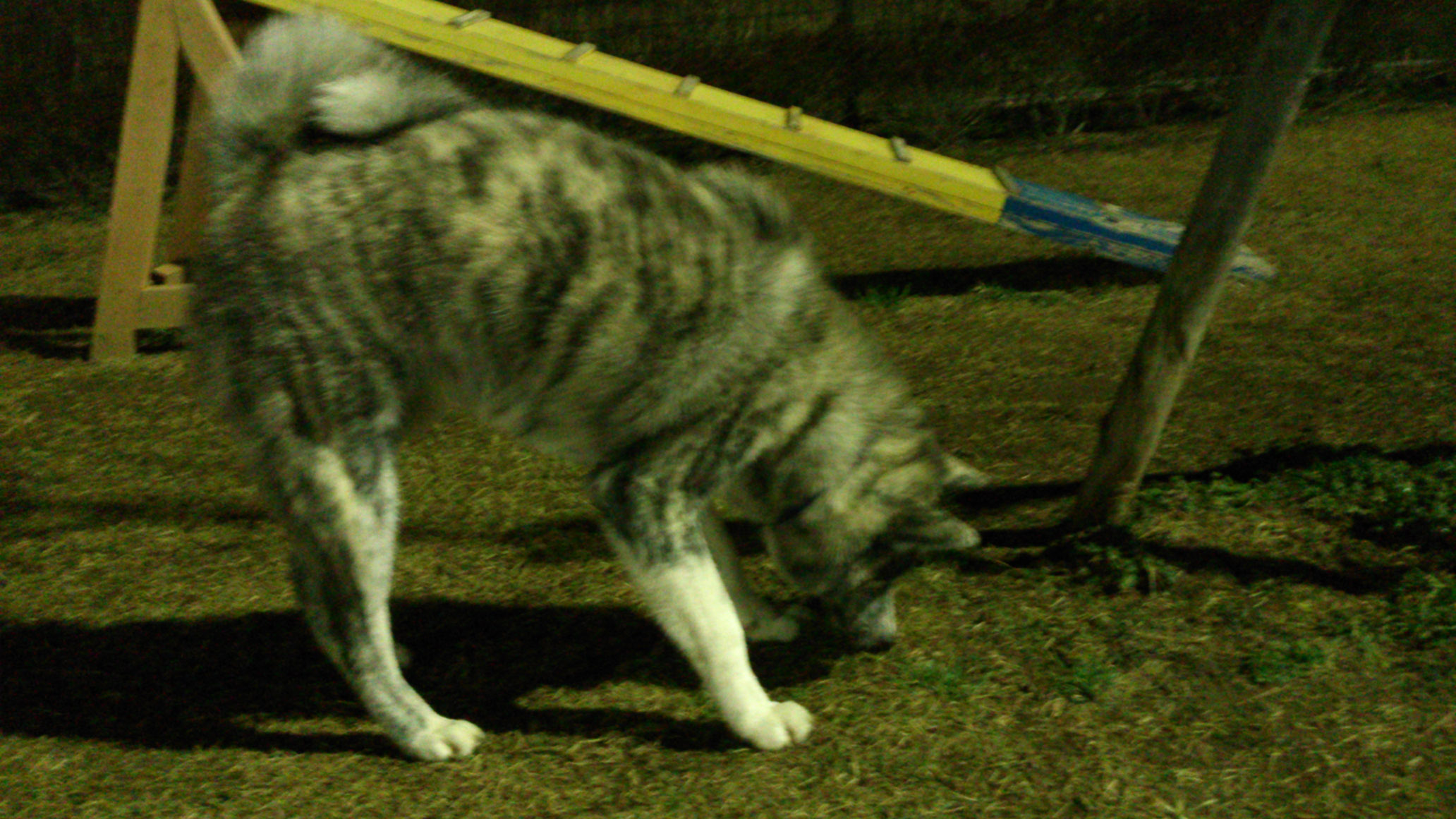DSC_2279.jpg