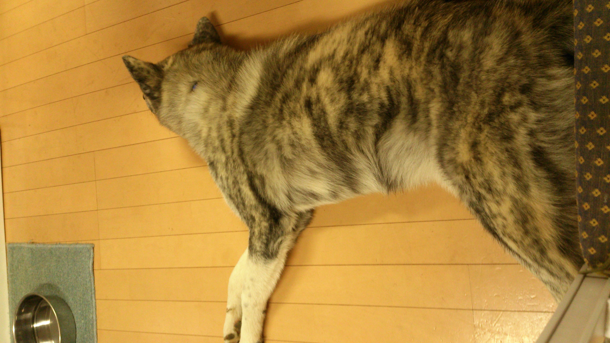 DSC_2281.jpg