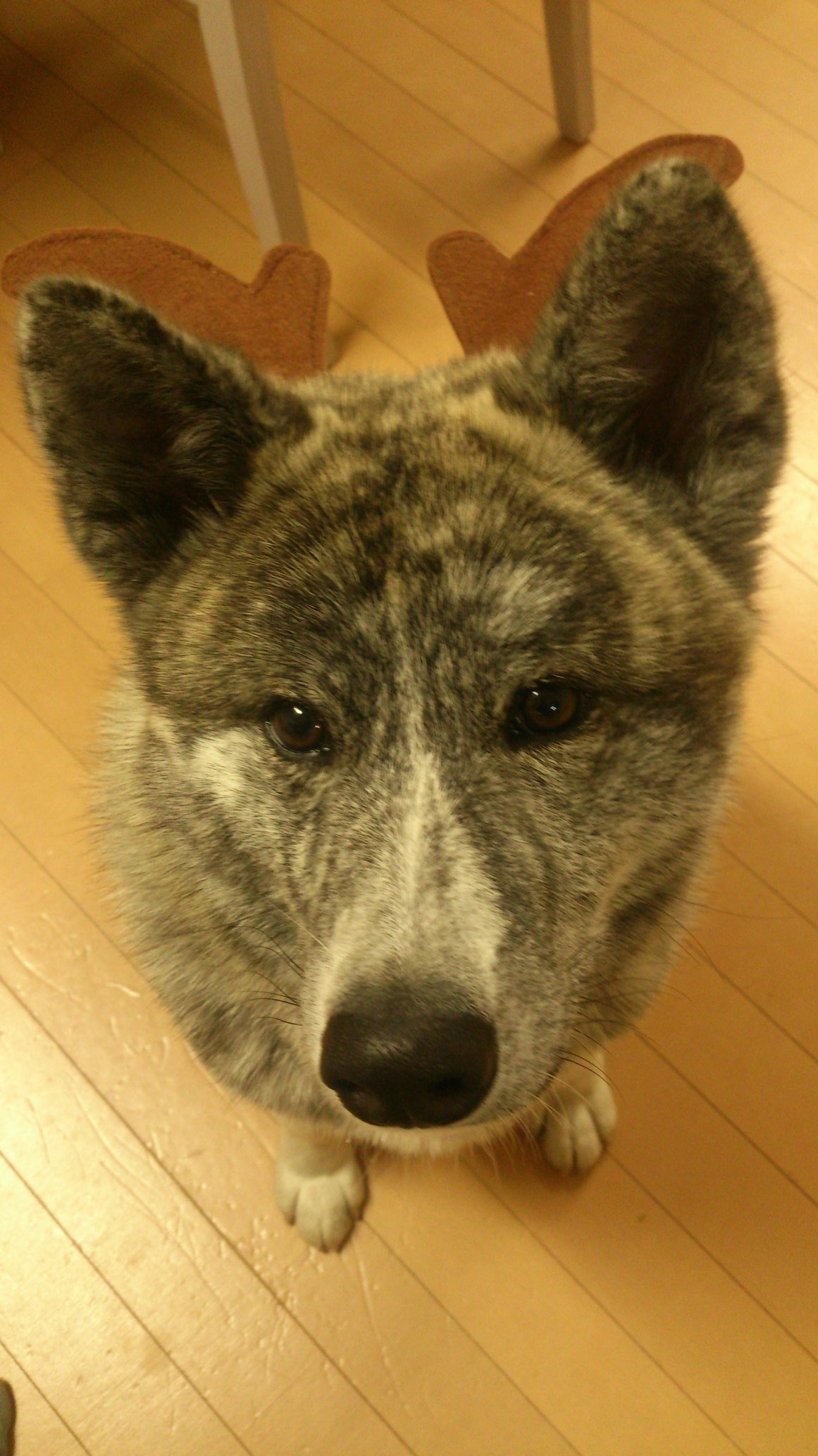 DSC_2402.jpg