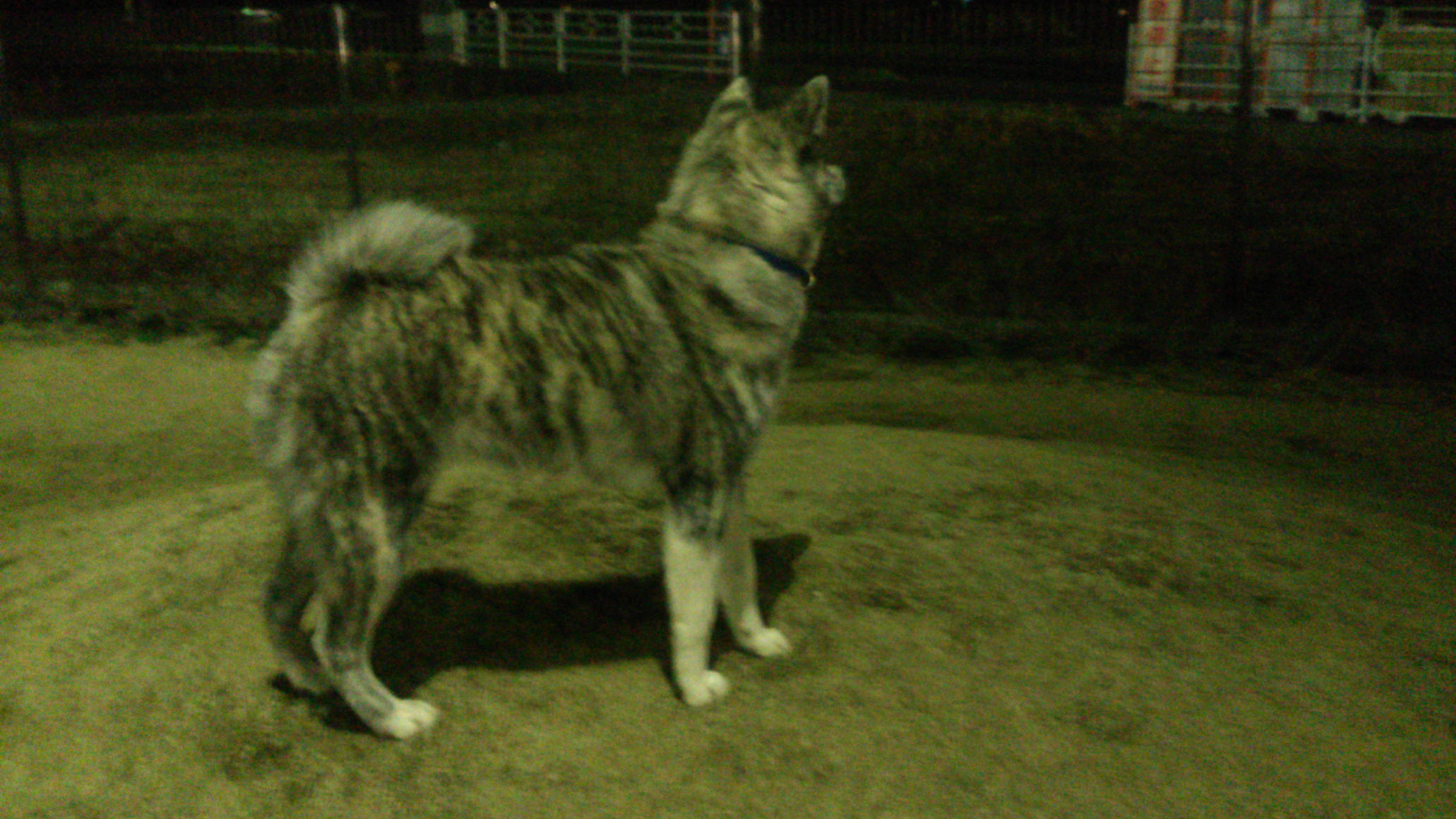 DSC_2417.jpg