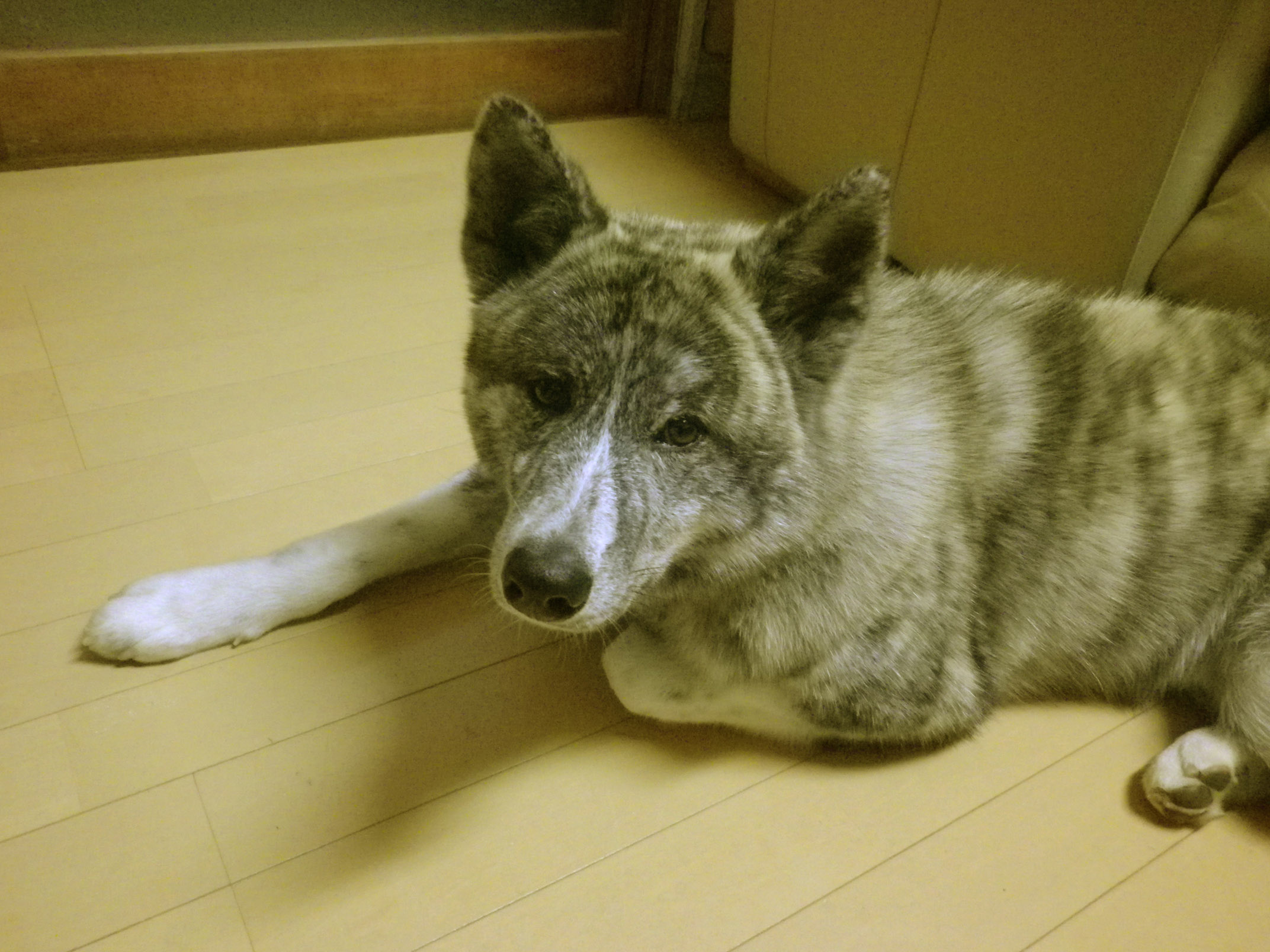 IMGP2231.jpg