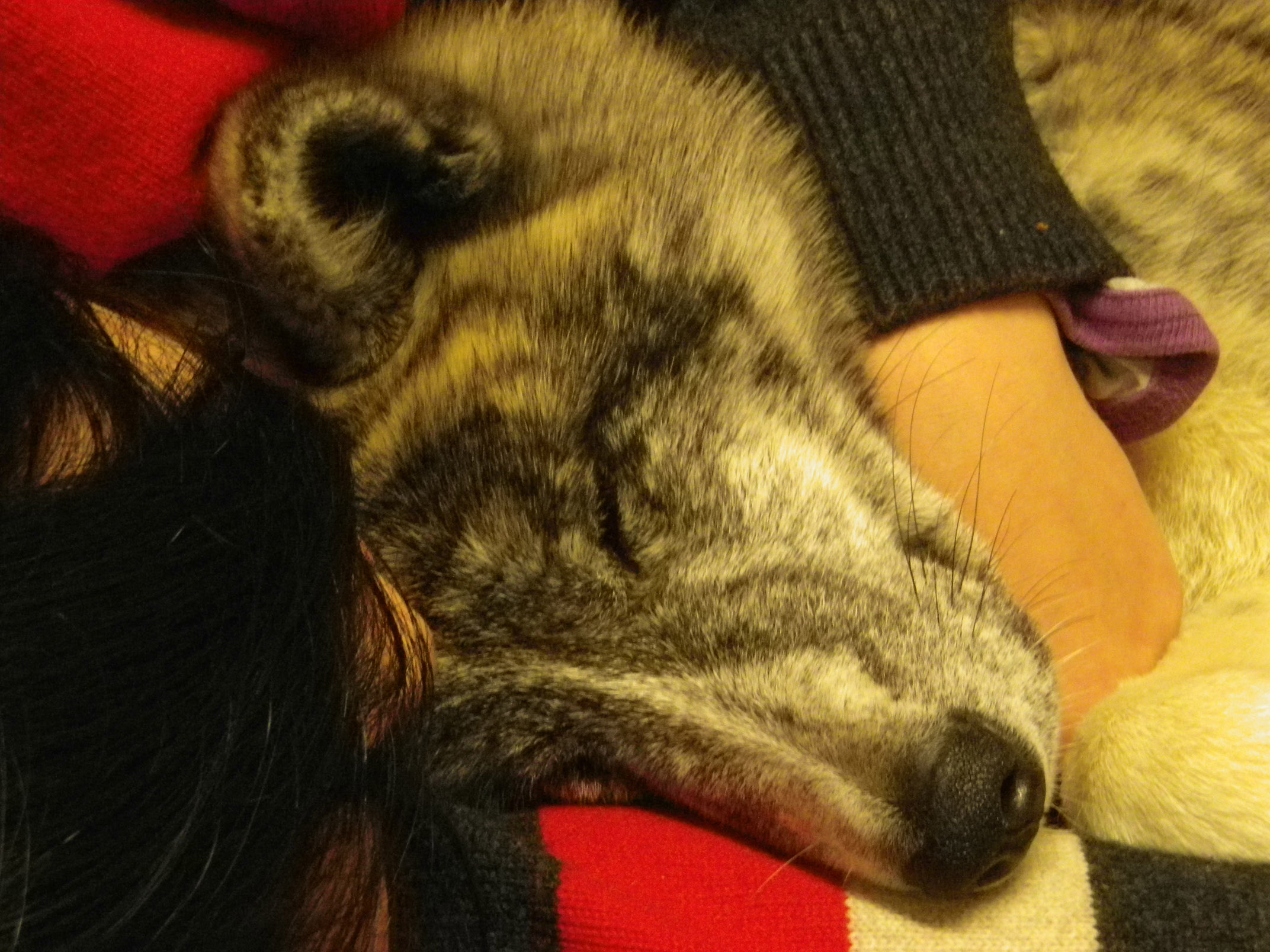 IMGP2270.jpg