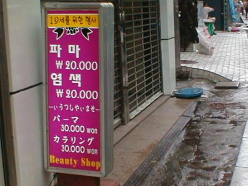 k11208130s.jpg
