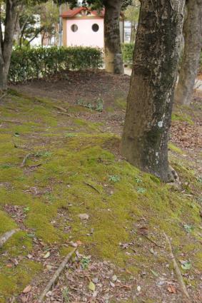 E7D_0479.jpg