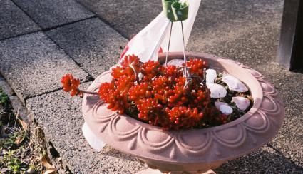 FH010024.jpg