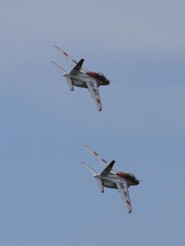 IMG_8494.jpg
