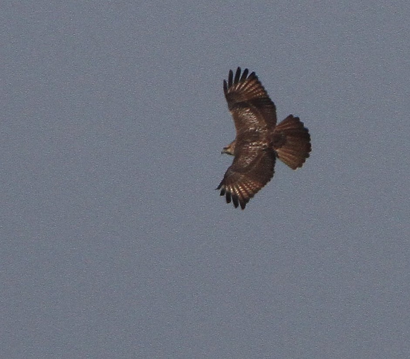 s-111005210.jpg