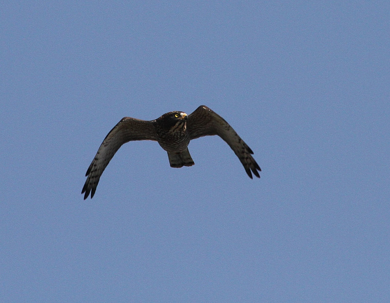 s-111005841.jpg