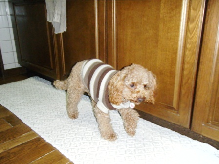 DSCF3765.jpg