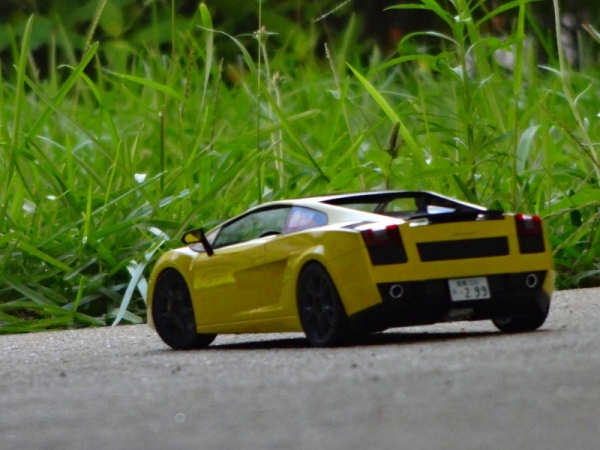 gallardo se 63