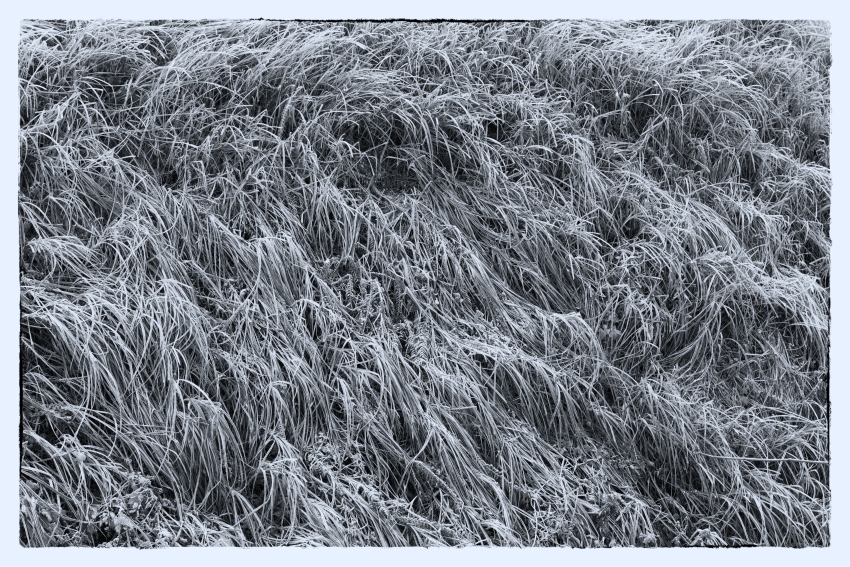 _DS61576-Edit.jpg