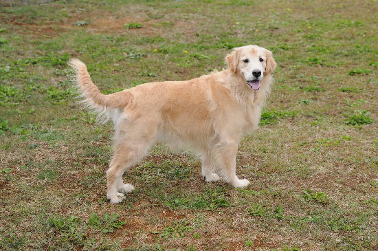 DSC_1016.jpg