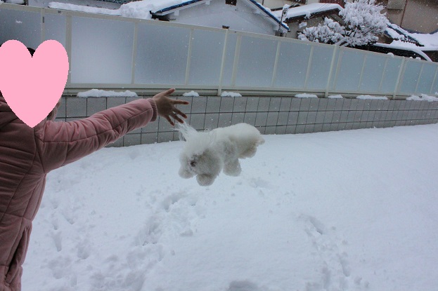 10_20140218001056d6f.jpg