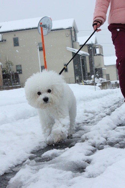 24_20140219235014d5c.jpg