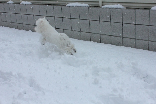 27_201402180018417a1.jpg