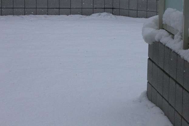 2_201402180011005cc.jpg