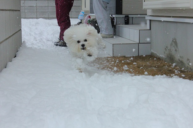 46_2014021800321592a.jpg