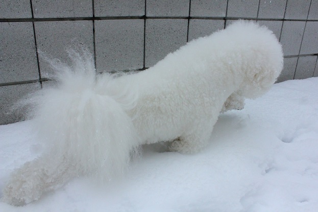6_20140219004629c80.jpg