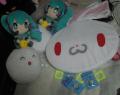 IMGP0830.jpg