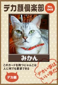 みかんちゃん