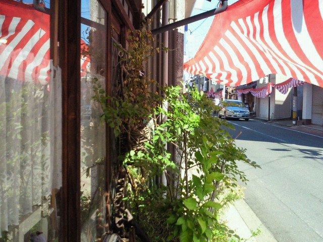moblog_3570d3ca.jpg