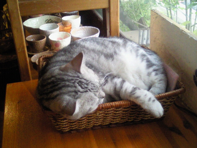 moblog_e49fb081.jpg