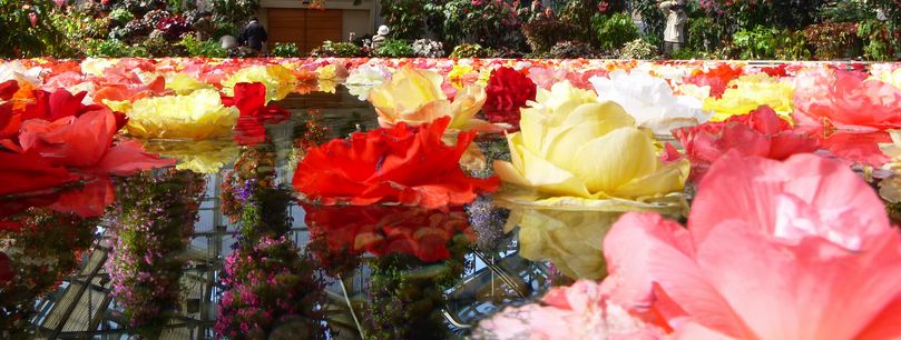 20123218.jpg