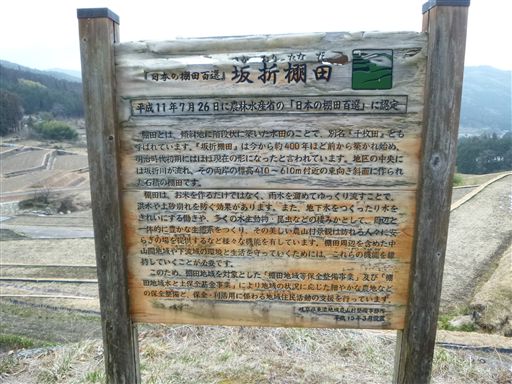 201331015_R.jpg