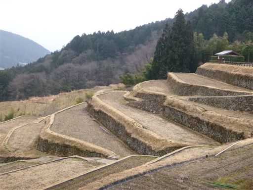 201331016_R.jpg