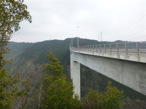 20133109_R.jpg