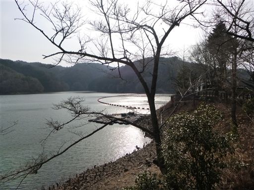 20133161.jpg