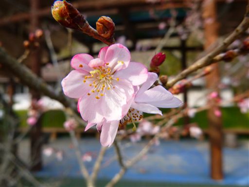 20133162.jpg