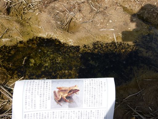 201331718.jpg