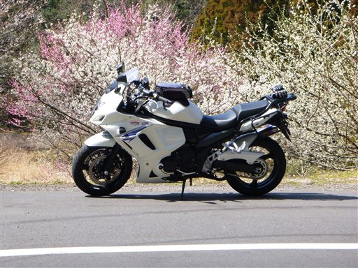 20133172.jpg