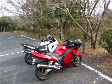 201331726.jpg