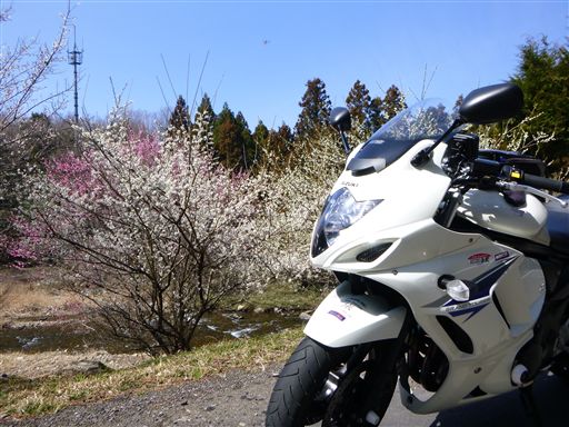 20133173.jpg